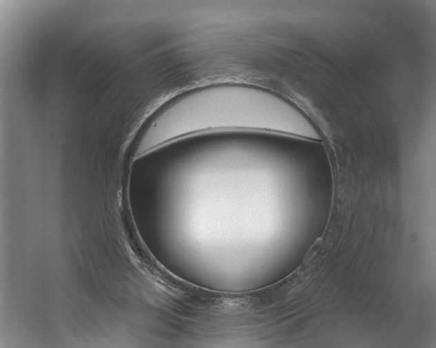 X0000059050060200510070902