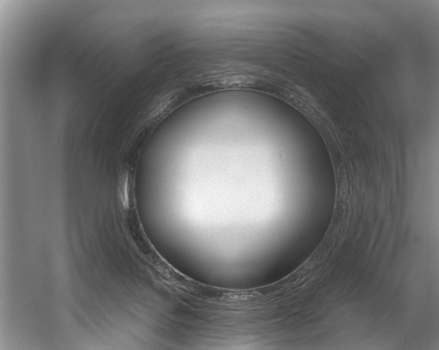 X0000059050076200510070902