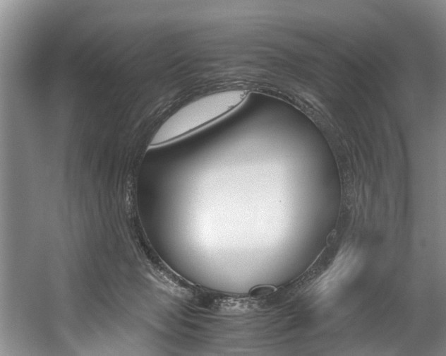 X0000059050077200510070902