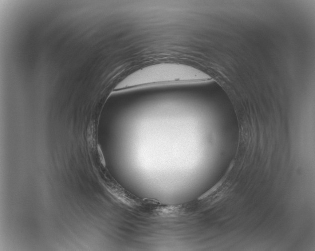 X0000059050092200510070902