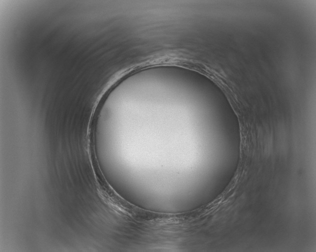 X0000059050100200510070902