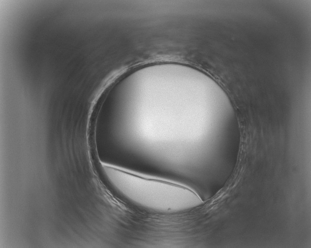 X0000059050104200510070902