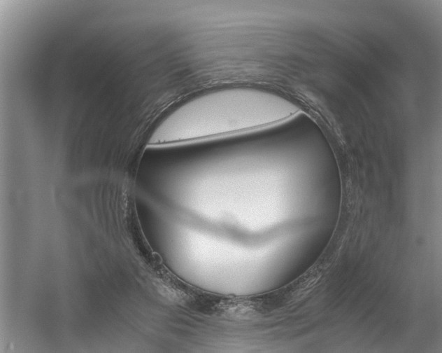 X0000059050113200510070901