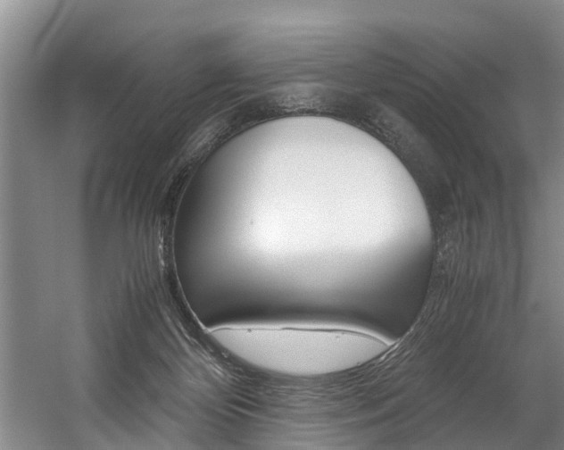 X0000059050124200510070901