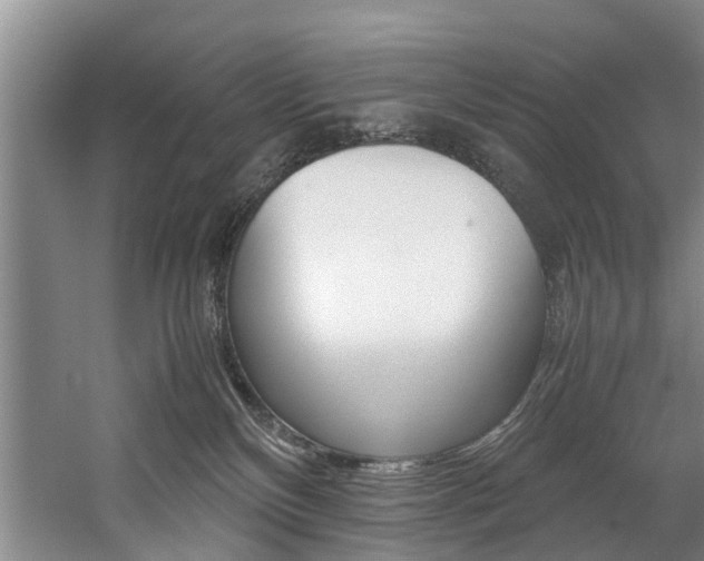 X0000059050136200510070901