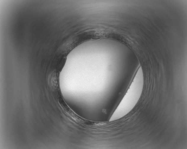 X0000059050137200510070901