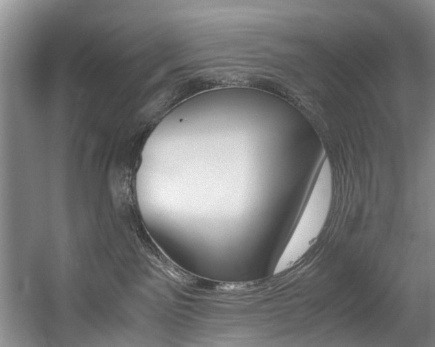X0000059050141200510070901
