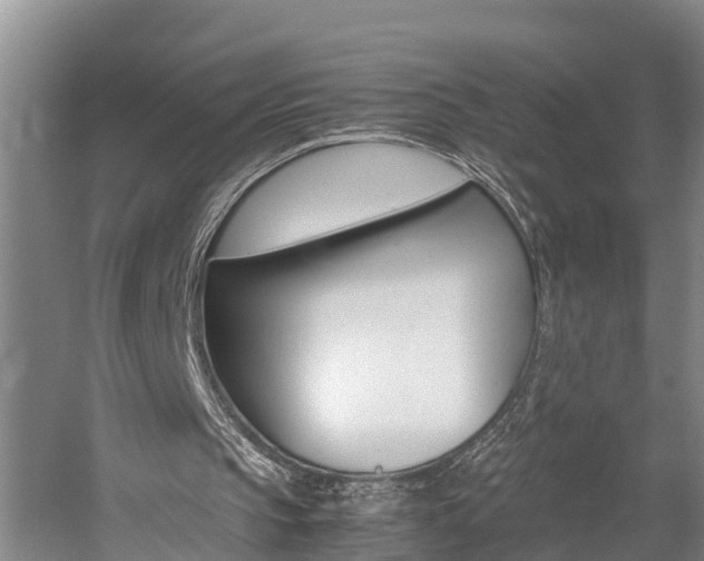 X0000059050145200510070900