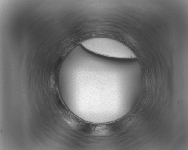 X0000059050173200510070901