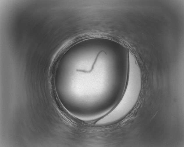 X0000059050197200510070900