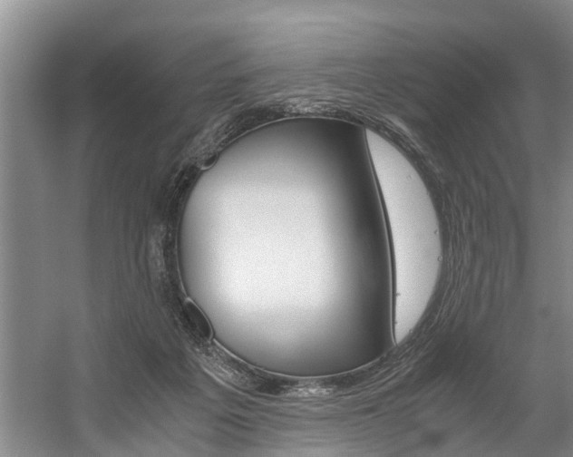 X0000059050217200510070900