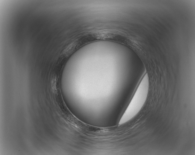 X0000059050219200510070900