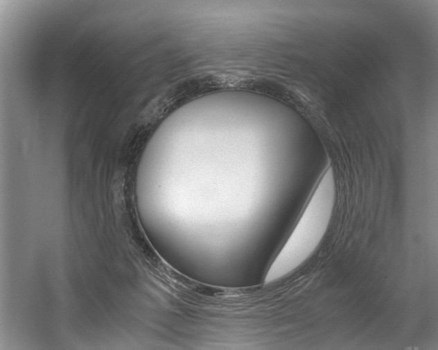 X0000059050221200510070900