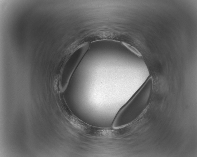 X0000059050233200510070859