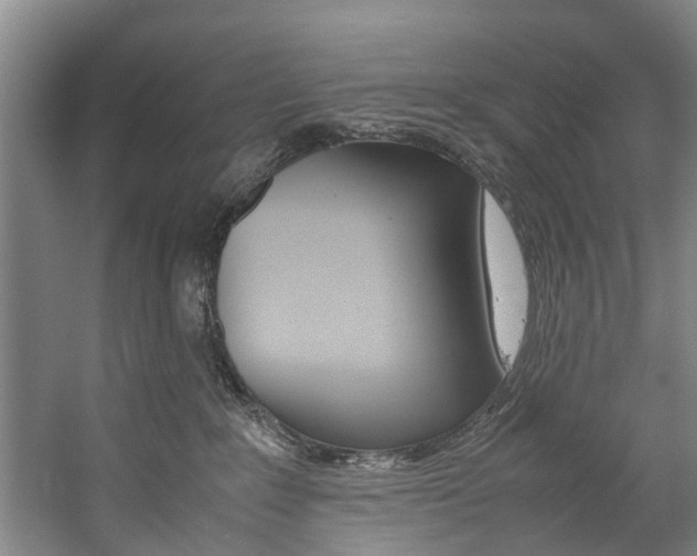 X0000059050235200510070859