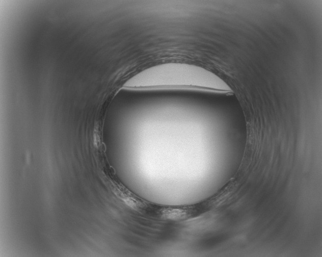 X0000059050287200510070859