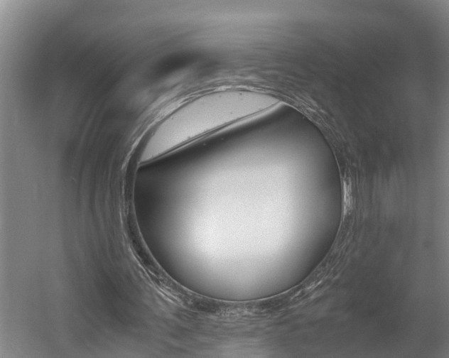 X0000059050291200510070858