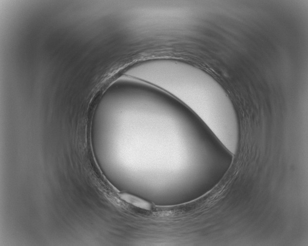 X0000059050301200510070858