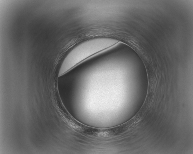X0000059050309200510070858