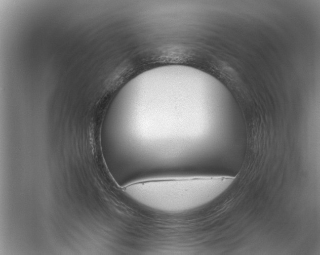 X0000059050312200510070858