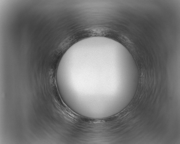X0000059050318200510070858