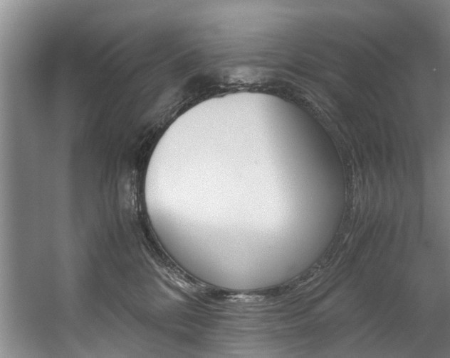X0000059050328200510070858