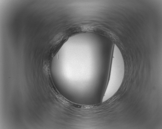 X0000059050329200510070858