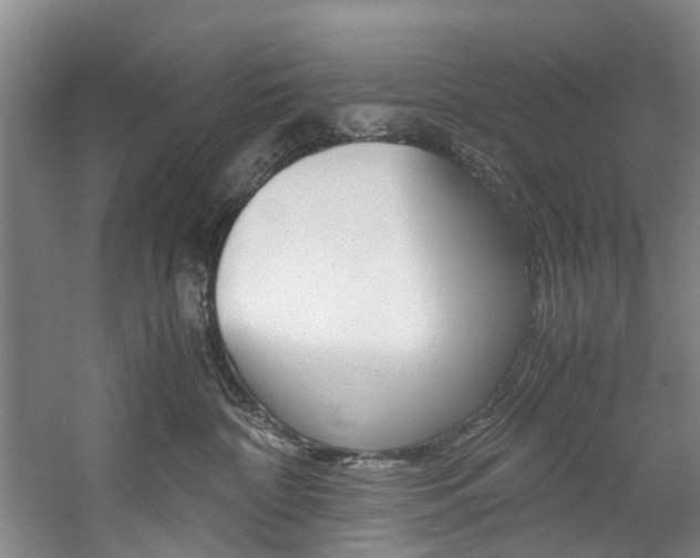 X0000059050332200510070858