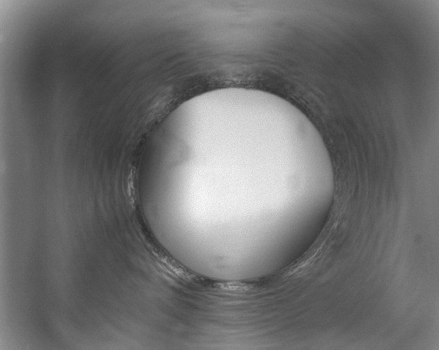 X0000059050336200510070858