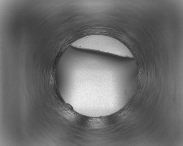 X0000059050381200510070858