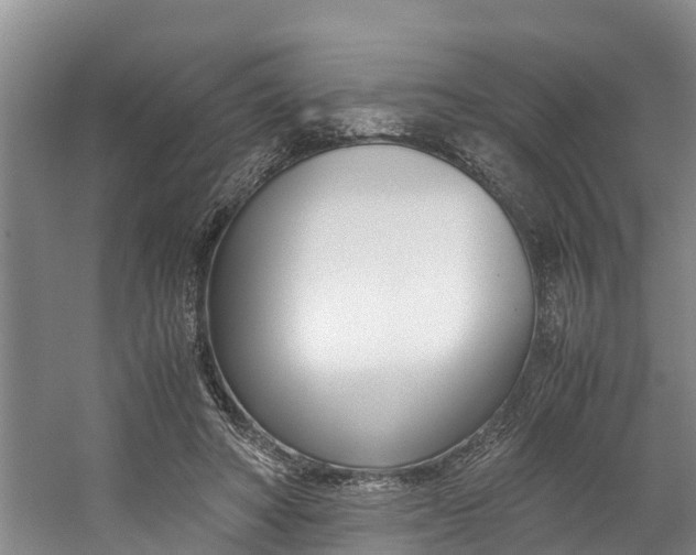 X0000059050402200510070857