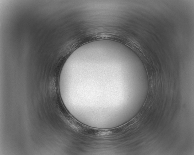 X0000059050410200510070856