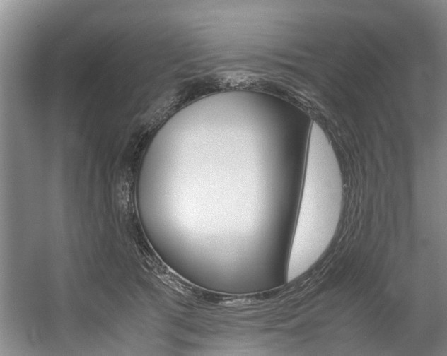 X0000059050417200510070856