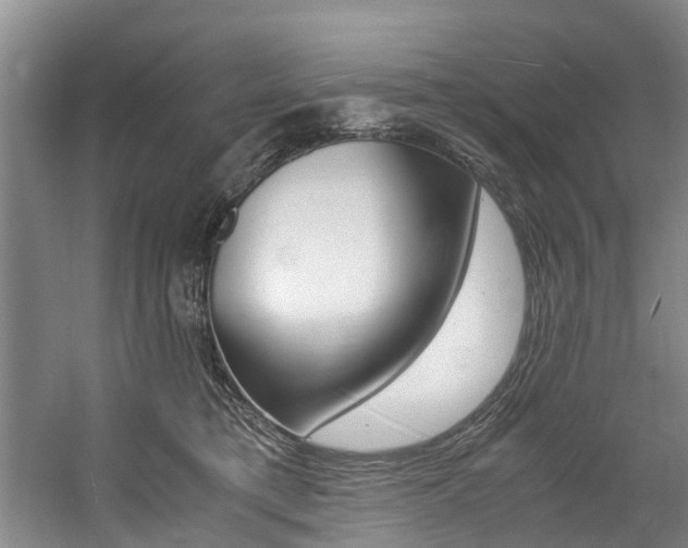 X0000059050421200510070856