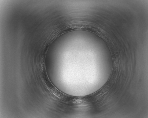X0000059050460200510070856