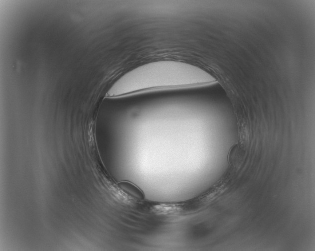 X0000059050477200510070856