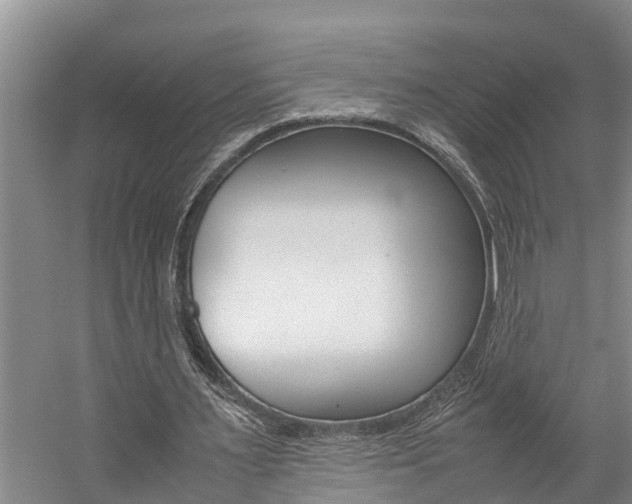 X0000059050483200510070855