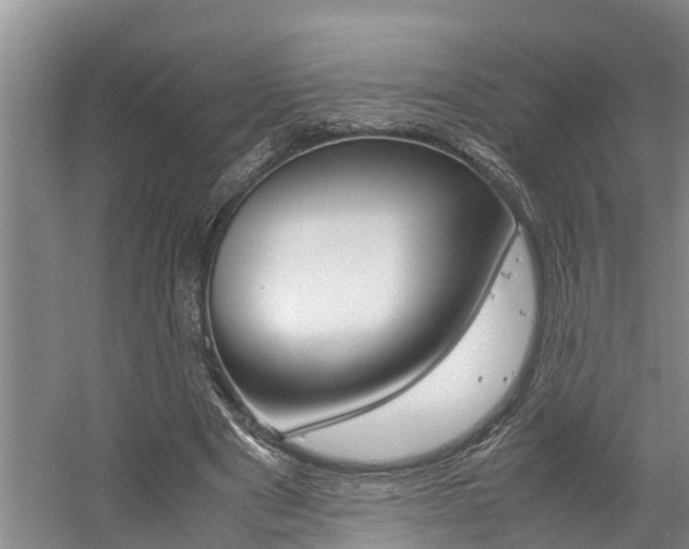 X0000059050489200510070855
