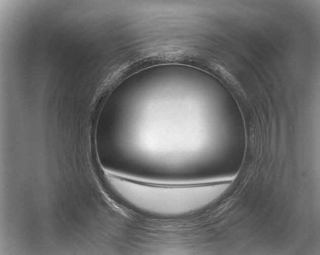 X0000059050493200510070855