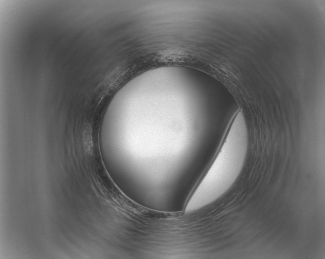 X0000059050508200510070855