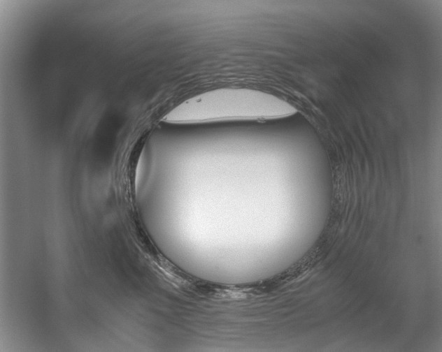 X0000059050523200510070854