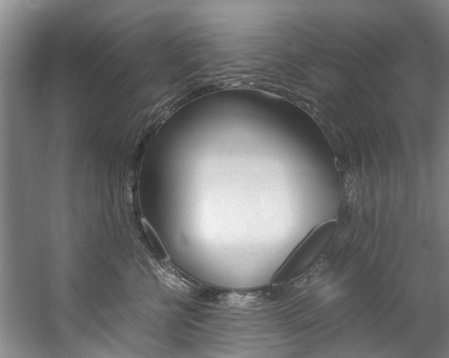 X0000059050570200510070854