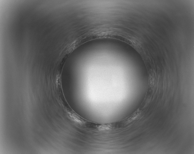 X0000059050574200510070854