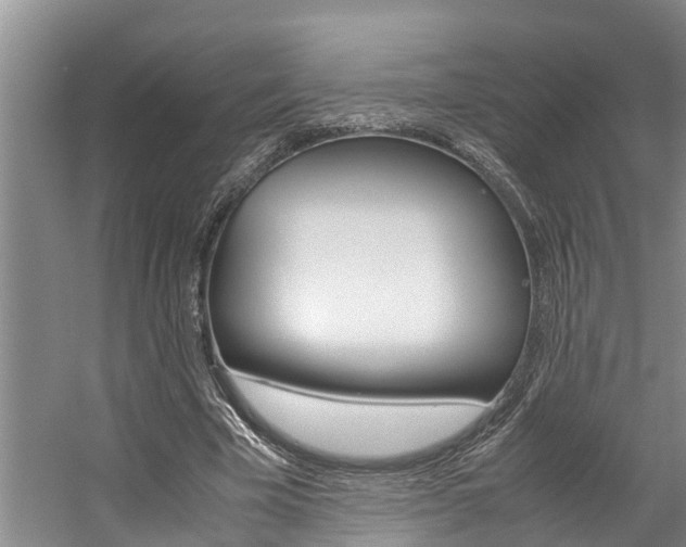 X0000059050585200510070853