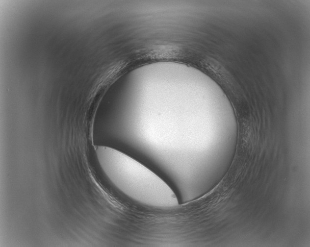 X0000059050586200510070853