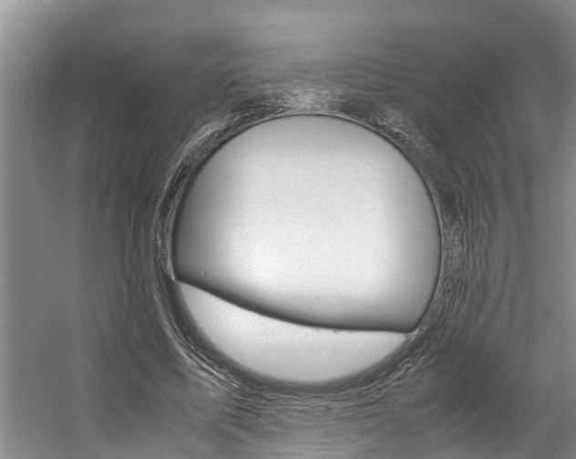 X0000059050587200510070853