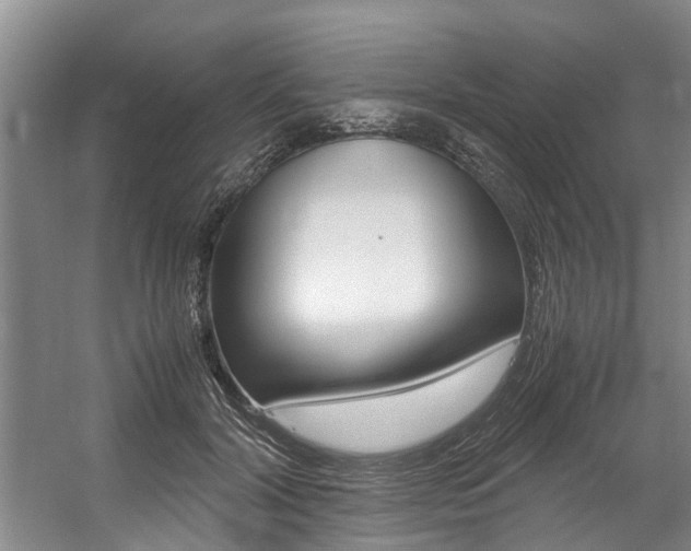 X0000059050604200510070853