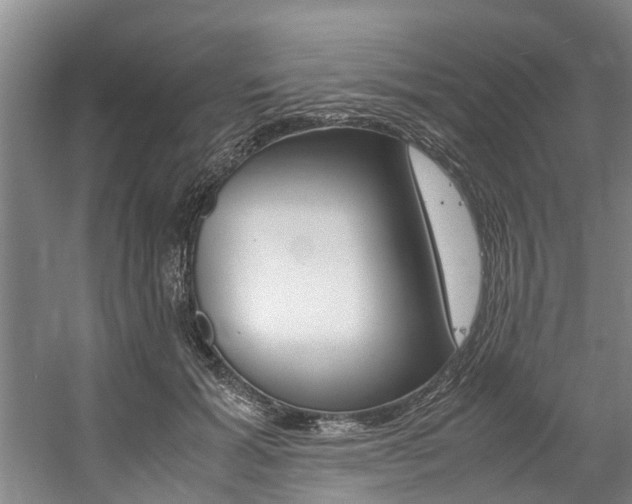 X0000059050605200510070853