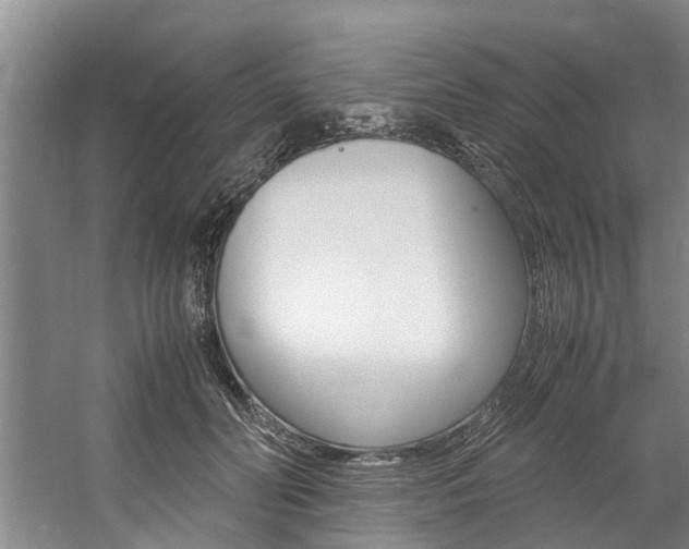 X0000059050606200510070853