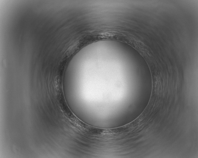 X0000059050608200510070853